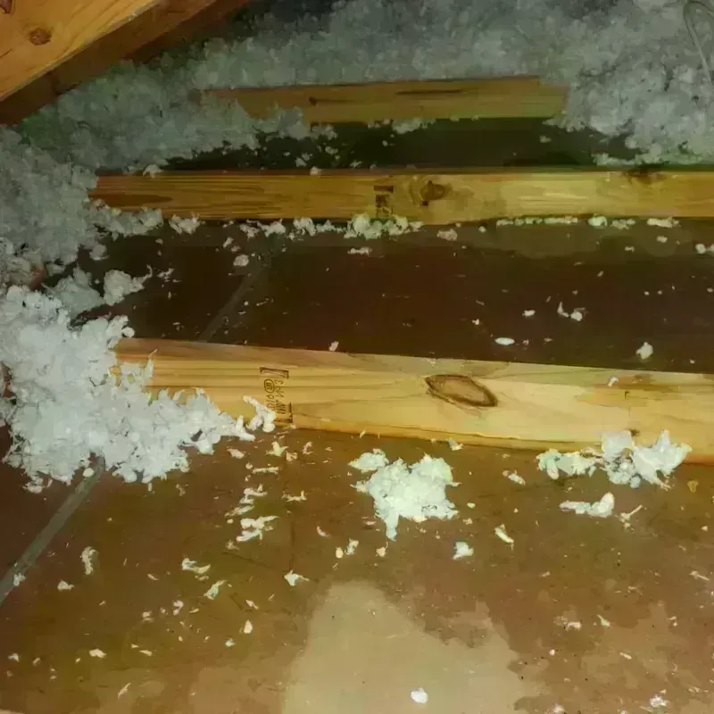 Attic Water Damage in Dickinson County, KS