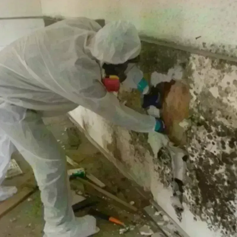 Mold Remediation and Removal in Dickinson County, KS