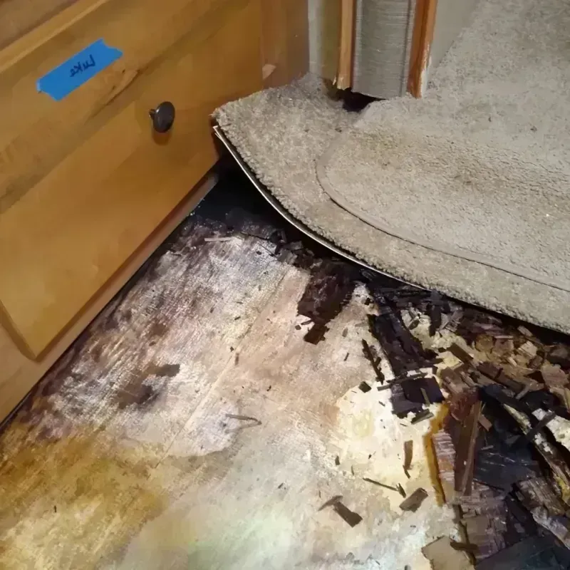 Wood Floor Water Damage in Dickinson County, KS